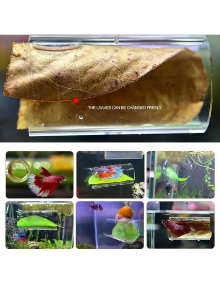 Túnel Acrílico para Peces Betta CousDUoBe 8cm con Almohadilla