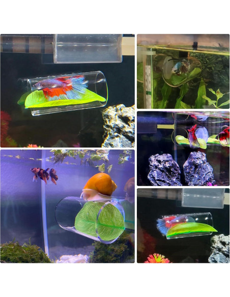 Túnel Acrílico para Peces Betta CousDUoBe 8cm con Almohadilla