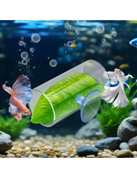 Túnel Acrílico para Peces Betta CousDUoBe 8cm con Almohadilla