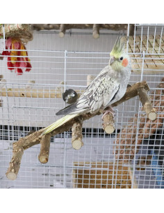 Escalera y Soportes para Aves Dnoifne - Madera Natural 30x12 cm 2