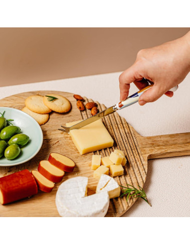 Cuchillo de Queso Dr.HOWS Acero Inoxidable 23x3.5cm