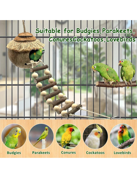 Casa para pájaros colgante Tfwadmx con escalera de coco 20cm