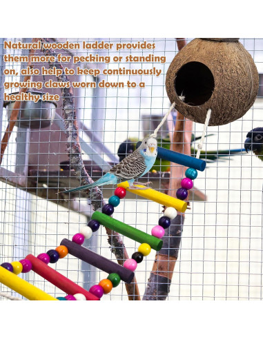 Nido de Pájaro de Coco PINVNBY con Escalera y Columpio