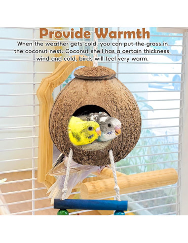 Nido de Pájaro de Coco PINVNBY con Escalera y Columpio