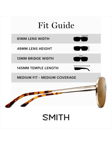 Gafas de sol aviador SMITH Langley 2 acero inoxidable dorado