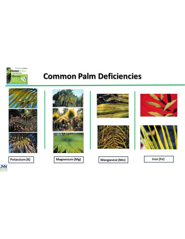 Espiga de Fertilizante para Palmeras JVH 10 Unidades 1.45 kg