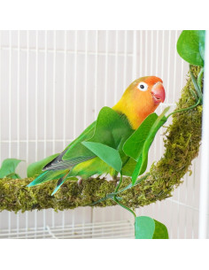 Percha de Musgo para Aves Begeterday 63.5 cm - Juguete Accesorio 2