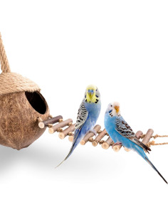 Casa Nido de Coco Andwe para Aves y Hámsters con Escalera 2