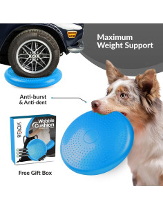 Cojín de Inestabilidad RFAQK Azul 33.5 cm - Mejora Postura y Equilibrio 2