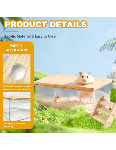 Contenedor de Baño de Arena para Hámster Guleite Rectángulo Pequeño