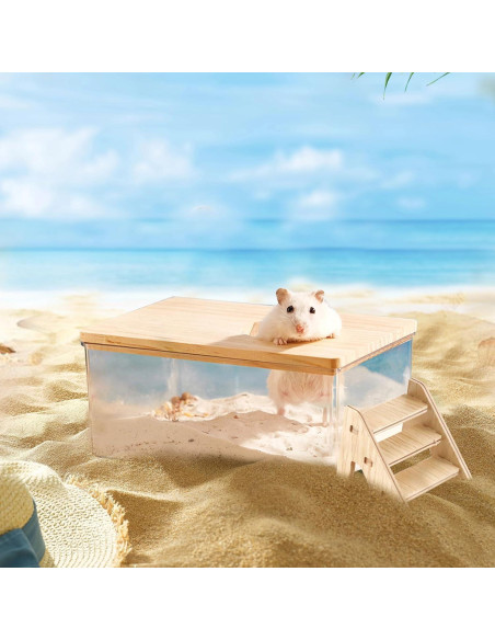 Contenedor de Baño de Arena para Hámster Guleite Rectángulo Pequeño