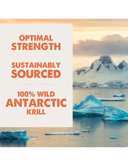 Ayuda para Articulaciones Grizzly para Perros 473 ml Fuerza Extra