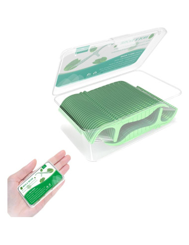 Palillos de Hilo Dental Holy Rose 2 Cajas Sabor Menta 100 Unidades