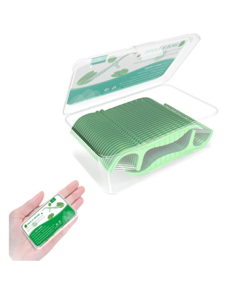 Palillos de Hilo Dental Holy Rose 2 Cajas Sabor Menta 100 Unidades