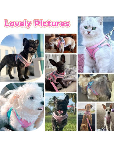 Arnés y Correa para Perros Pequeños PETPUBGNZS Rosa XXS 2