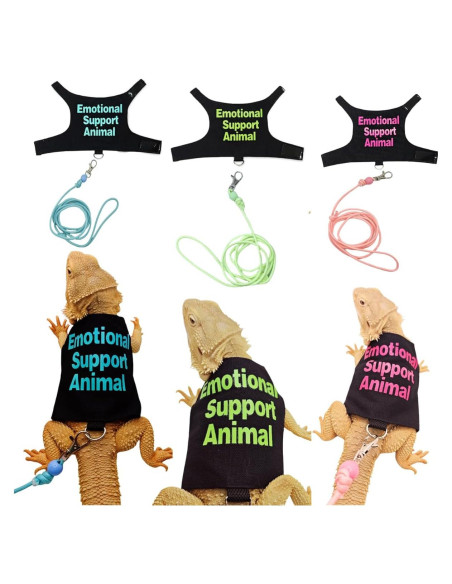 Conjunto Ropa para Lagartos Barbudos Copfeu - 3 Piezas con Correa