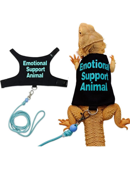 Conjunto Ropa para Lagartos Barbudos Copfeu - 3 Piezas con Correa