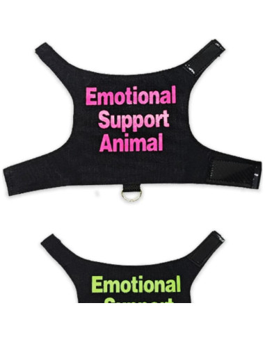 Conjunto Ropa para Lagartos Barbudos Copfeu - 3 Piezas con Correa