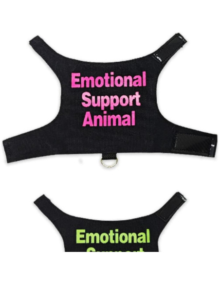 Conjunto Ropa para Lagartos Barbudos Copfeu - 3 Piezas con Correa