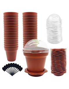 30 Macetas de Vivero PURPLE STAR 1N con Domo de Humedad