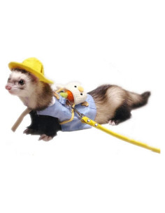 Conjunto Ropa para Hurón Angora con Correa Ajustable Azul