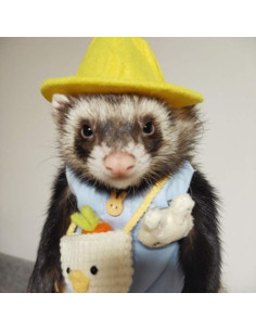 Conjunto Ropa para Hurón Angora con Correa Ajustable Azul 2