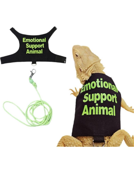 Conjunto Ropa para Lagartos Barbudos Copfeu - 3 Piezas con Correa