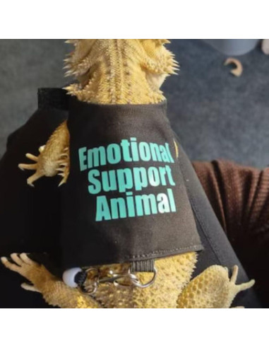 Conjunto Ropa para Lagartos Barbudos Copfeu - 3 Piezas con Correa