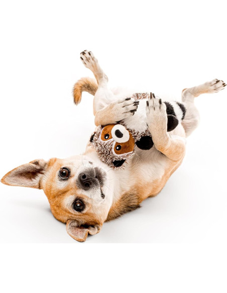 Juguete de Peluche para Perros Playology Raccoon 6x12 cm
