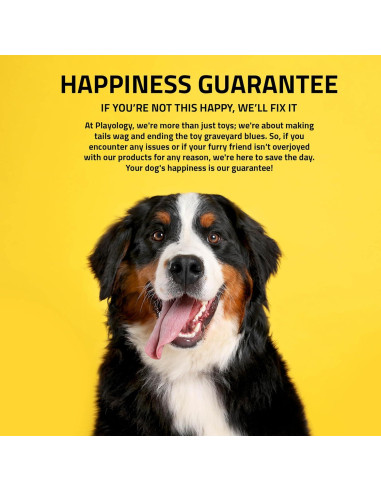 Juguete de Peluche para Perros Playology Raccoon 6x12 cm