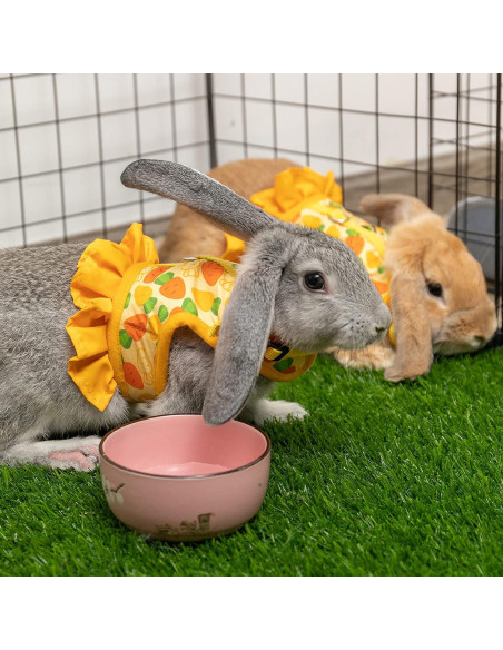 Arnés y Correa para Conejos ALUZAEMO - Malla Transpirable Amarillo Arnés y Correa para Conejos ALUZAEMO - Malla Transpirable Amarillo