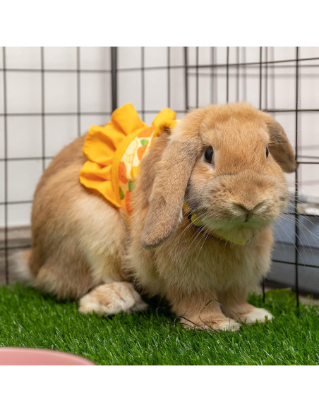 Arnés y Correa para Conejos ALUZAEMO - Malla Transpirable Amarillo Arnés y Correa para Conejos ALUZAEMO - Malla Transpirable Amarillo