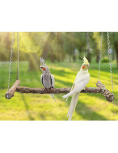 Columpio Grande para Aves Dnoifne 46.5x25x42 cm Madera Natural 2