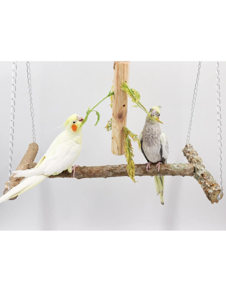 Columpio Grande para Aves Dnoifne 46.5x25x42 cm Madera Natural