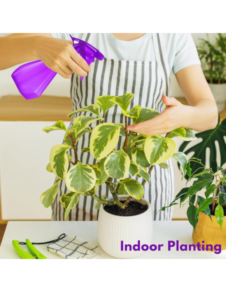 Botellas de Spray DilaBee 8oz 2-Pack Azul y Púrpura