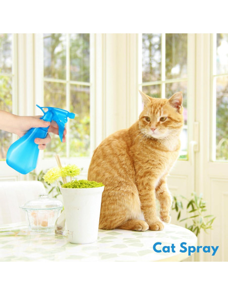 Botellas de Spray DilaBee 8oz 2-Pack Azul y Púrpura