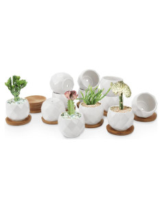 Macetas Suculentas ZOUTOG 12 Piezas Cerámica 6.35 cm