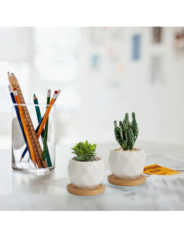 Macetas Suculentas ZOUTOG 12 Piezas Cerámica 6.35 cm