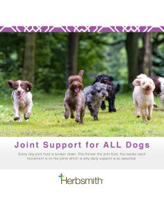 Suplemento Articular Herbsmith Sound Dog Viscosity 60 Masticables 2