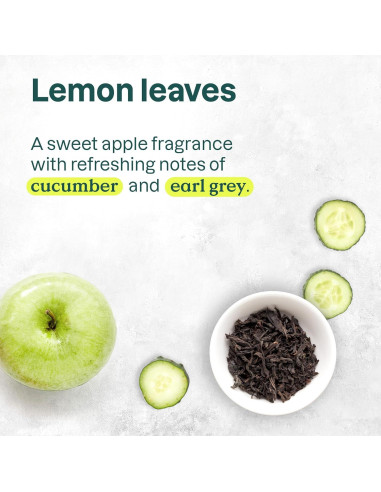 Crema de Manos ATTITUDE 73.93 ml Vegana Earl Grey y Pepino