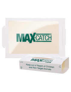 Trampa de Pegamento Catchmaster 36 Unidades para Ratones e Insectos