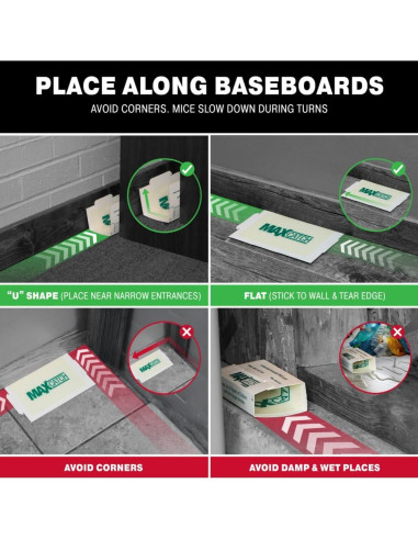 Trampa de Pegamento Catchmaster 36 Unidades para Ratones e Insectos