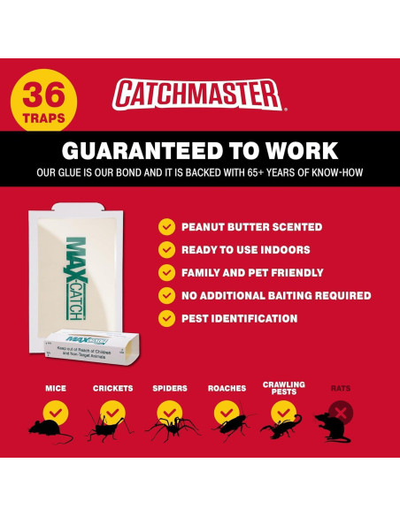 Trampa de Pegamento Catchmaster 36 Unidades para Ratones e Insectos