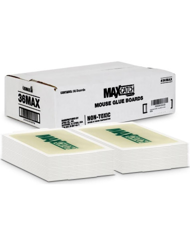 Trampa de Pegamento Catchmaster 36 Unidades para Ratones e Insectos