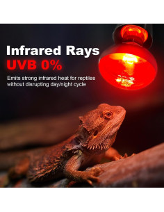 Bombillas Infrarrojas de Calor 100W MIXJOY - Paquete de 2 para Reptiles 2