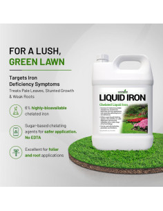 Concentrado de Hierro Líquido Quelado Covington 3.785 L - Suplemento para Plantas 2