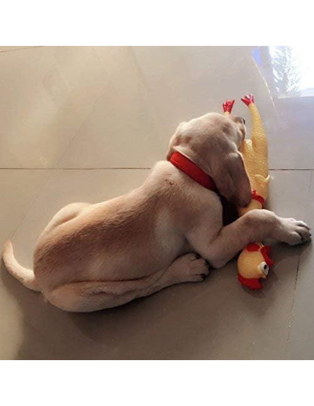 Juguetes para Perros Legend Sandy - Set de 3 Pollos Gritones Amarillo