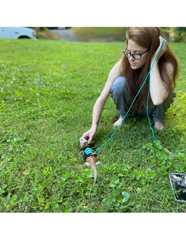 Ropa para Lagartos Barbudos Copfeu con Correa Azul 11.51 cm