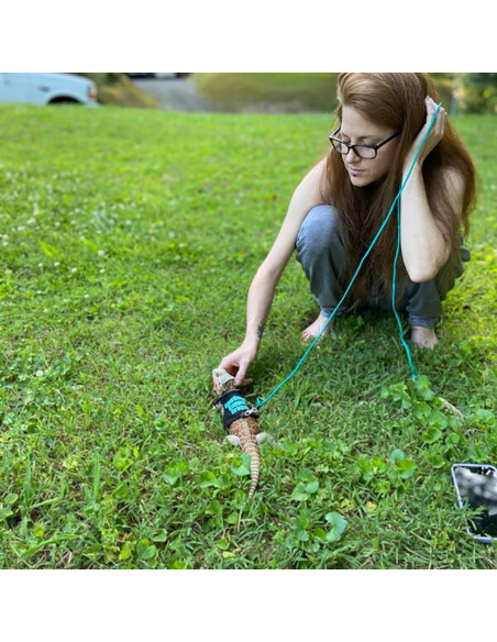 Ropa para Lagartos Barbudos Copfeu con Correa Azul 11.51 cm