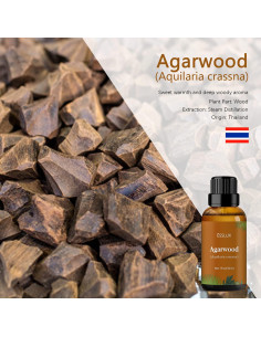 Aceite Esencial de Agarwood ESSLUX 30 ml - Aromaterapia Premium 2